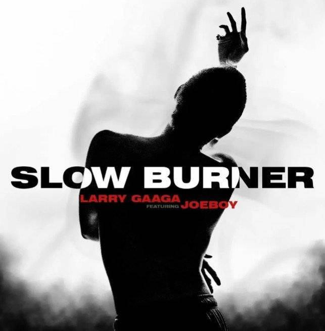 Larry Gaaga Ft. Joeboy – Slow Burner (Mp3)