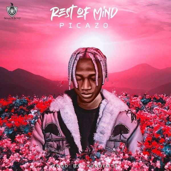 Picazo – Rest Of Mind (Mp3)
