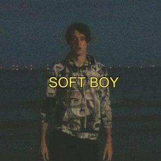 Wilbur Soot – Soft Boy